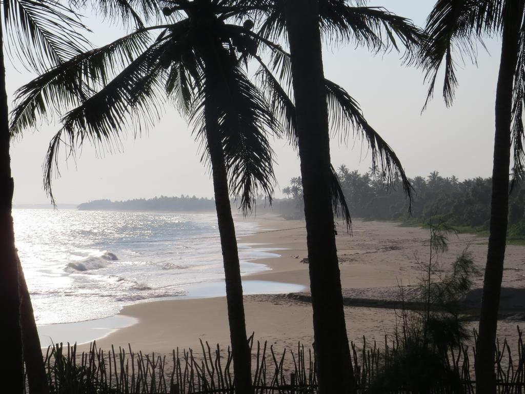 Turtle Bay Boutique Hotel Tangalle Zewnętrze zdjęcie